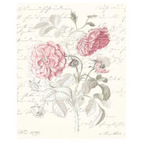 Komar Poster Poème Rose Rosen B/L: ca. 40x50 cm Poème Rose - (40,00/50,00cm) - Komar