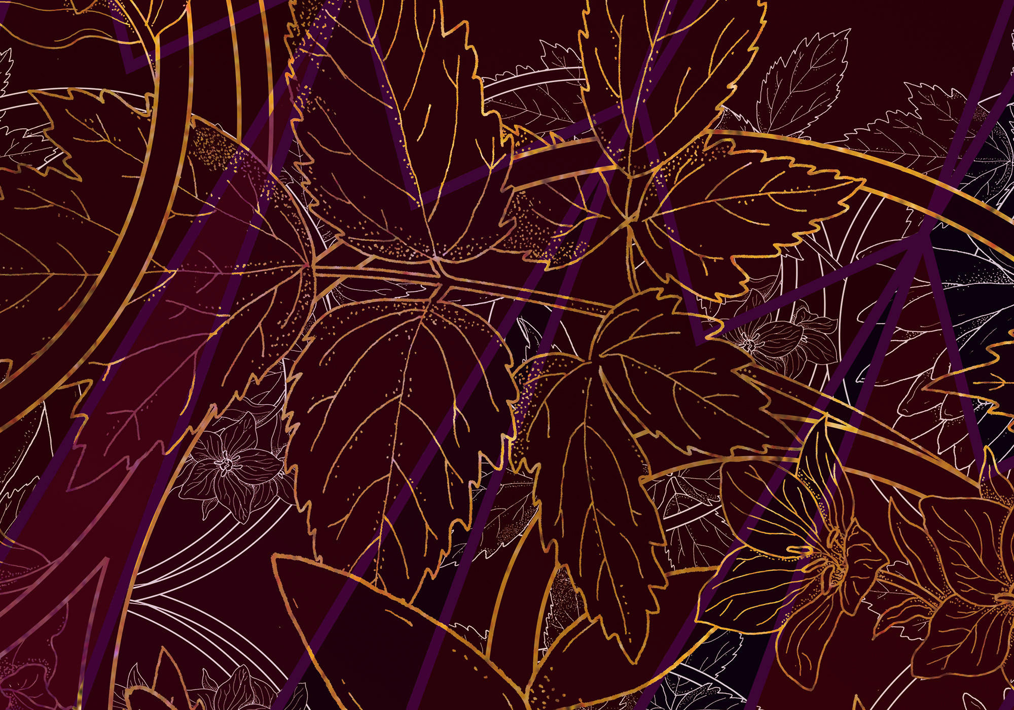 Komar Fototapete Lotus B/L: ca. 200x280 cm Lotus - (200,00/280,00cm) - Komar