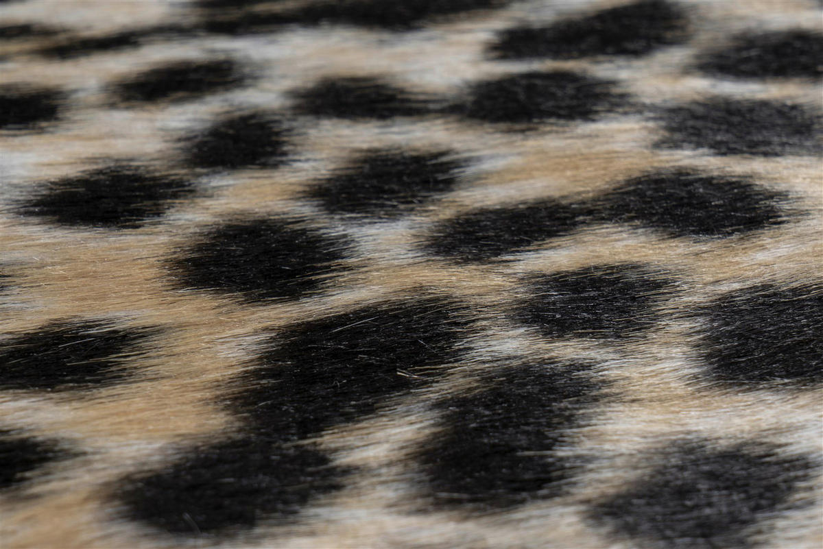 Kayoom Kurzflorteppich Philippines - Manila Cheetah schwarz B/L: ca. 150x200 cm Philippines - Manila Cheetah - schwarz (150,00/200,00cm) - Kayoom