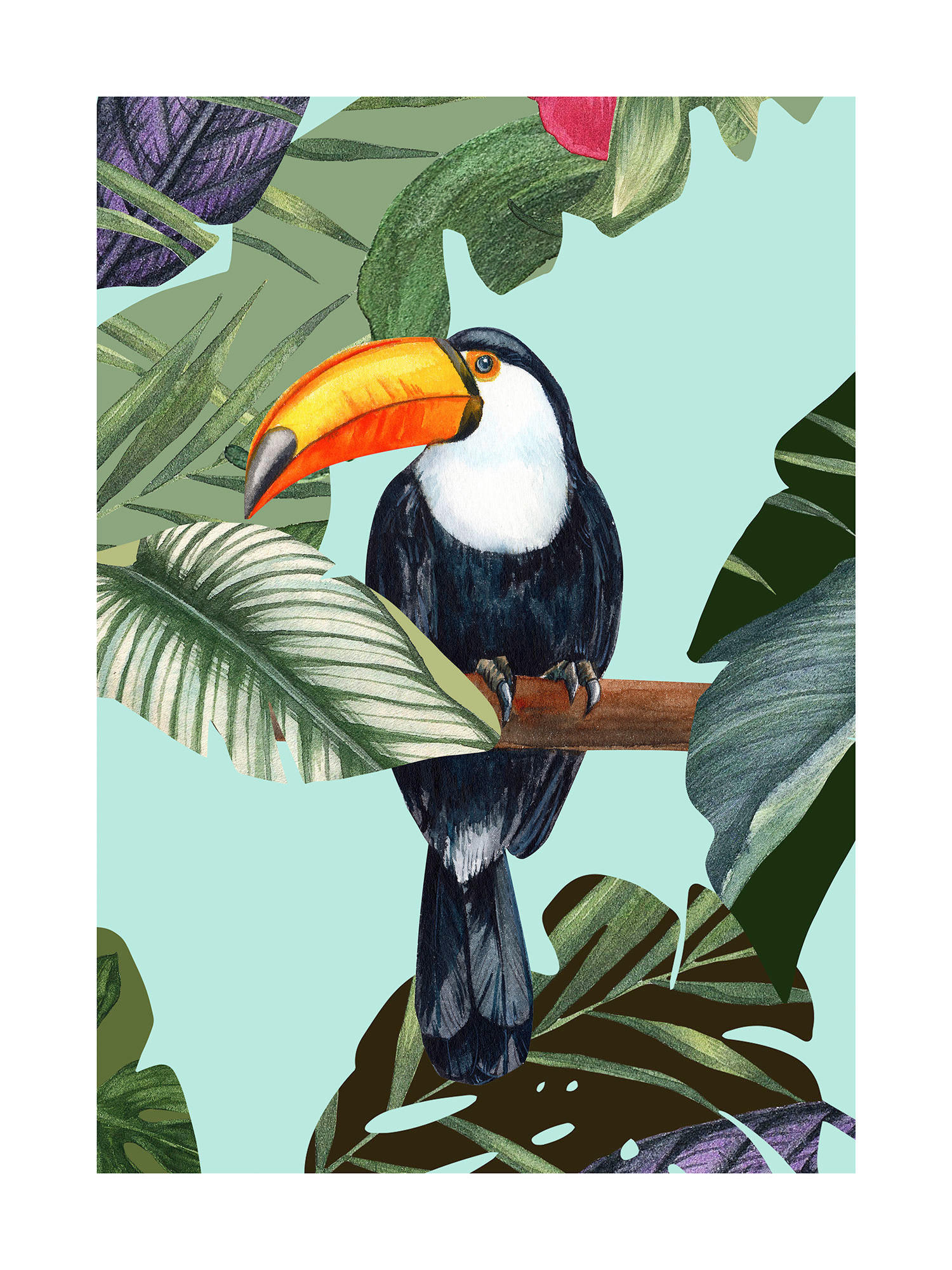 Komar Poster Toco Toucan günstig online kaufen