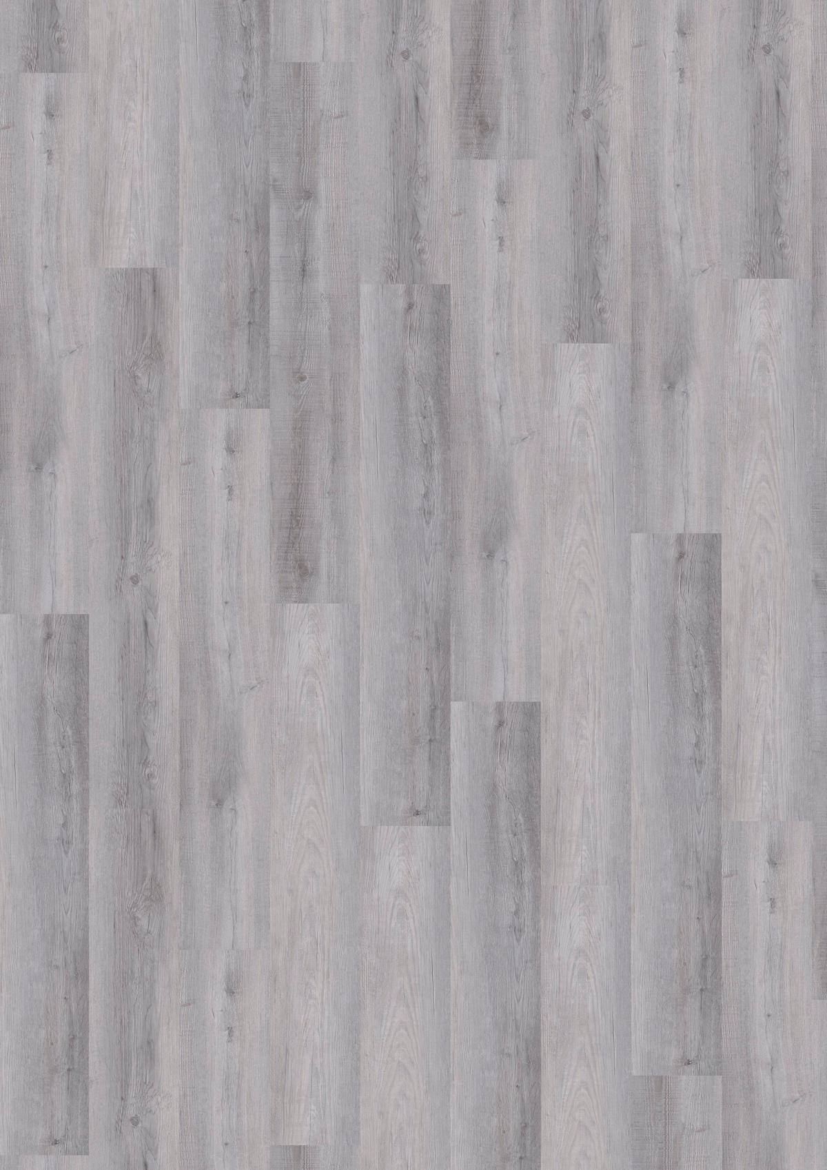 Vinylplanke Lightgrey Oak,ca.1,115m² im Paket B/L: ca. 15,24x91,44 cm Lightgrey Oak,ca.1,115m² im Paket - grau (15,24/91,44cm)