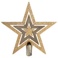POCOline Baumspitze champagner B/H/L: ca. 2x20x30 cm Baumspitze-Stern - champagner (30,00/2,00/20,00cm) - POCOline