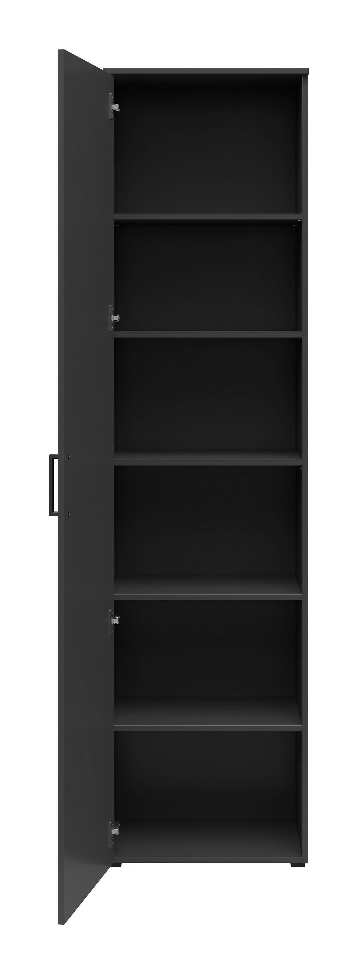 Schrank Multi-Stauraum Typ 51 anthrazit B/H/T: ca. 50x195x40 cm Multi-Stauraum Typ 51 - anthrazit (50,00/195,00/40,00cm)
