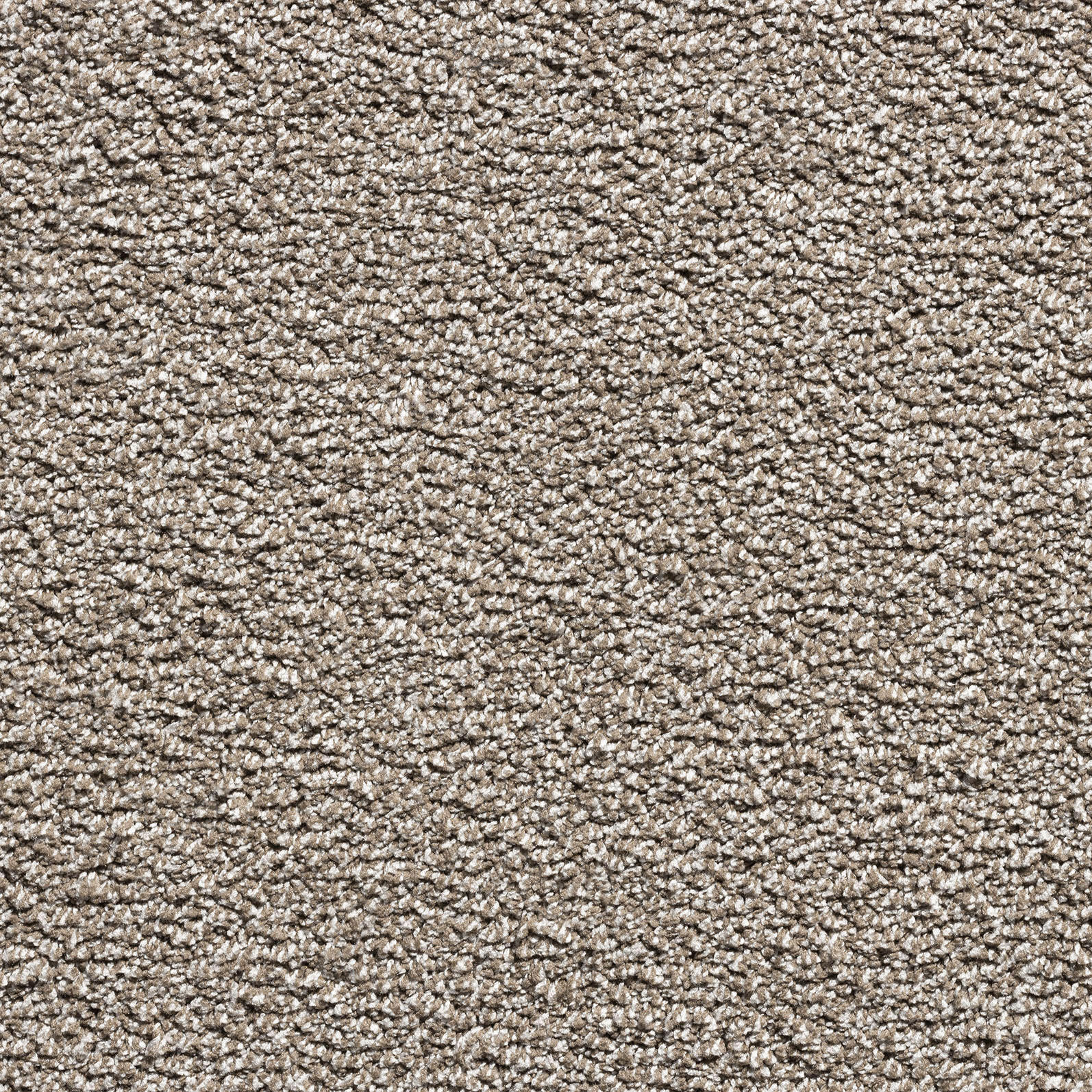 Teppichboden Hanoi beige B: ca. 400 cm pro m² Hanoi - beige (400,00cm)