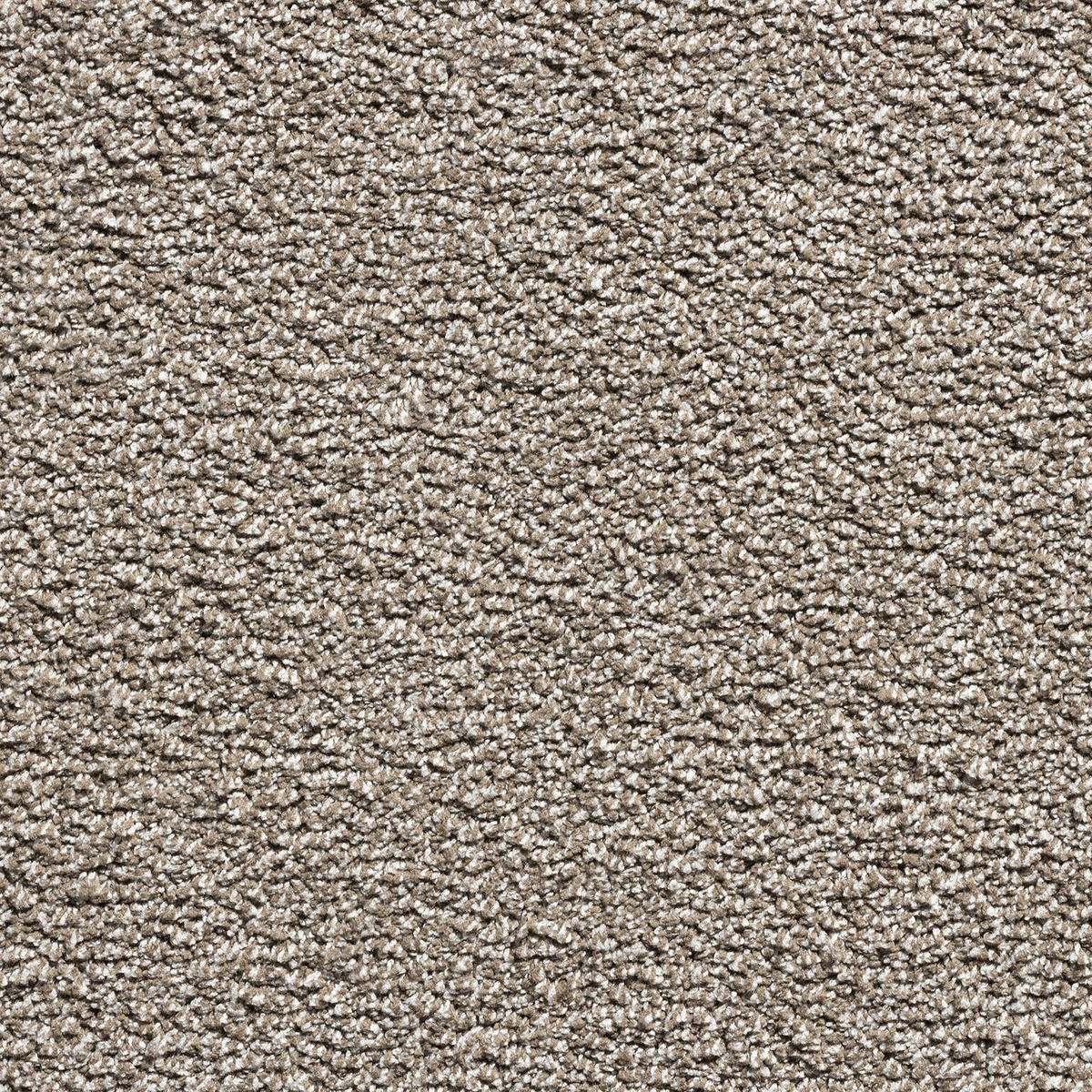 Teppichboden Hanoi beige B: ca. 400 cm pro m² Hanoi - beige (400,00cm)