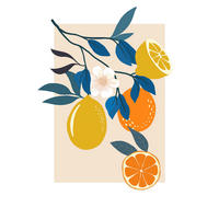 Komar Poster Illustration Finest Fruits Pflanzen B/L: ca. 50x70 cm Illustration Finest Fruits - (50,00/70,00cm) - Komar