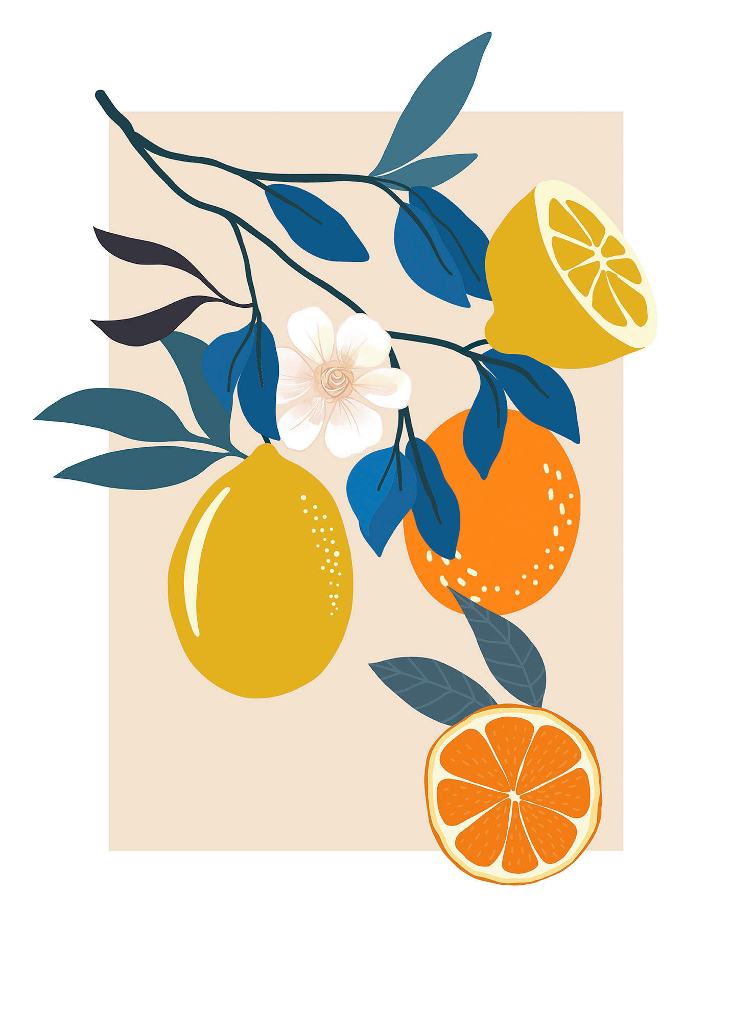 Komar Poster Illustration Finest Fruits Pflanzen B/L: ca. 50x70 cm