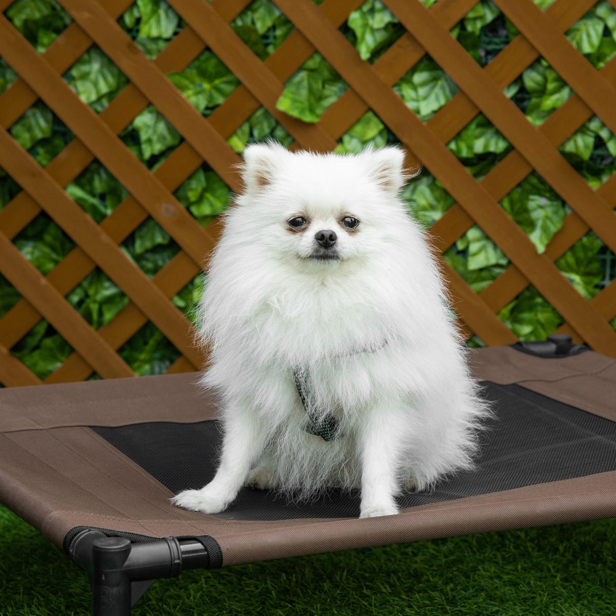 PawHut Hunde-Zubehör braun Polypropylen B/H/L: ca. 61x76x18 cm Hundebett - braun (18,00/61,00/76,00cm) - PawHut