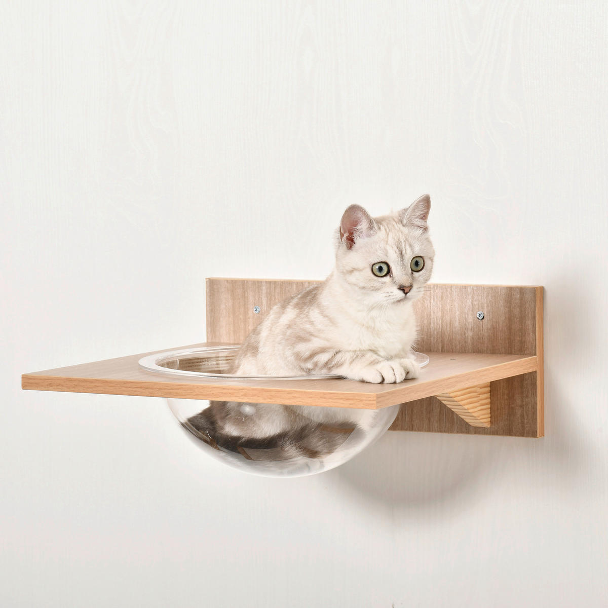 PawHut Katzen-Zubehör braun Polypropylen B/H/L: ca. 25,5x100x17,5 cm Katzenkletterwand - braun (17,50/25,50/100,00cm) - PawHut