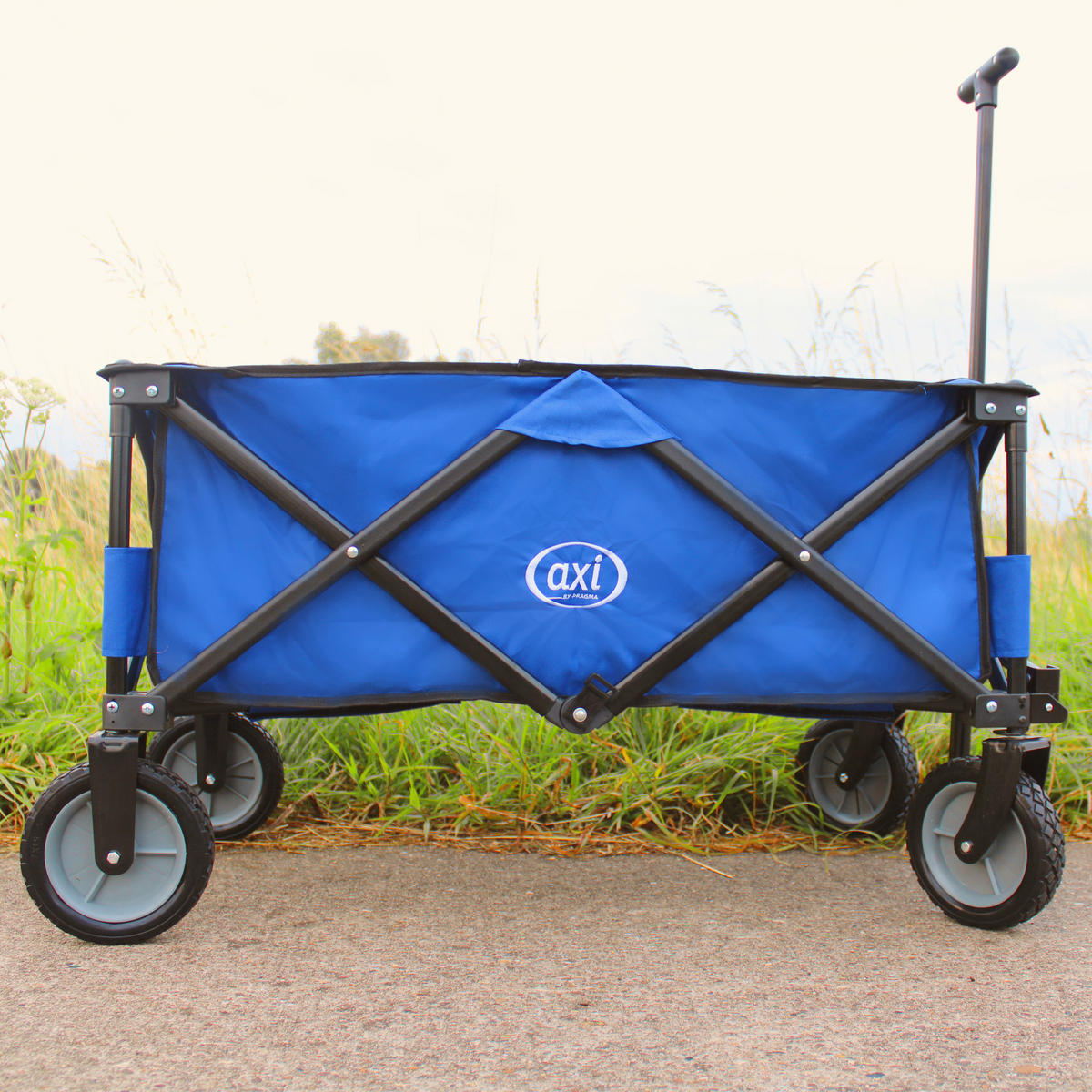 AXI Bollerwagen AB110 blau B/H/L: ca. 50x61x100 cm AB110 - blau (100,00/50,00/61,00cm) - AXI