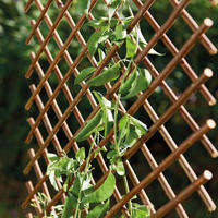 CATRAL/NORTENE Rankgitter natur B/H/L: ca. 201x2x143 cm Rankgitter - braun/natur (143,00/201,00/2,00cm) - CATRAL/NORTENE