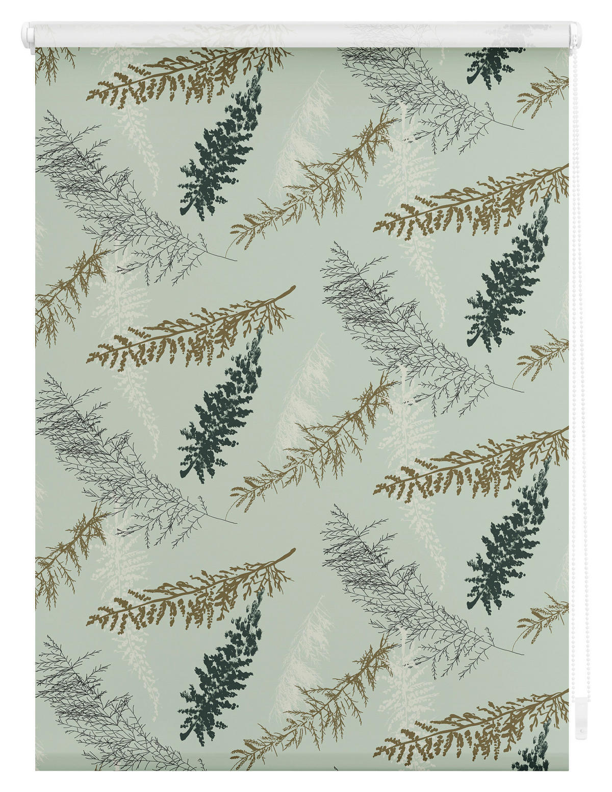 Verdunkelungsrollo Fir Branches grün B/L: ca. 80x150 cm Fir Branches - grün (80,00/150,00cm) - LICHTBLICK
