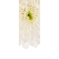 Komar Fototapete Beautiful B/L: ca. 100x280 cm Beautiful - (100,00/280,00cm) - Komar