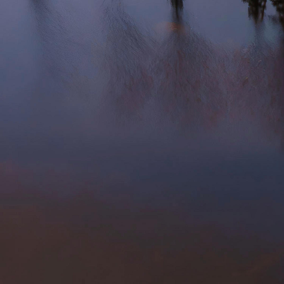 Komar Fototapete Between the Light B/L: ca. 450x280 cm Between the Light - (450,00/280,00cm) - Komar