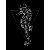 Komar Poster Sea Horse Black Tiere B/L: ca. 30x40 cm Sea Horse Black - (30,00/40,00cm) - Komar