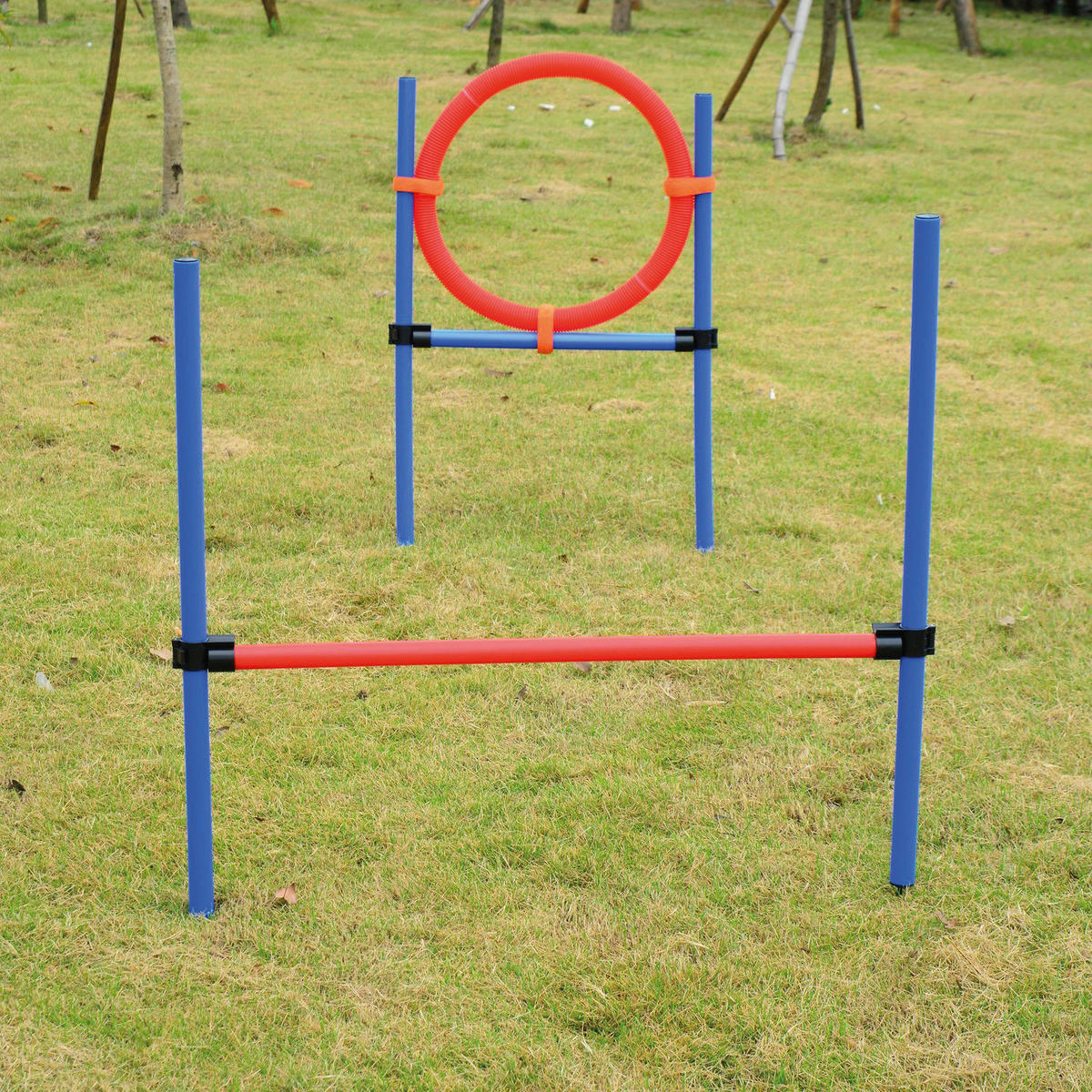 PawHut Hundesport Hundesport - blau/rot - PawHut
