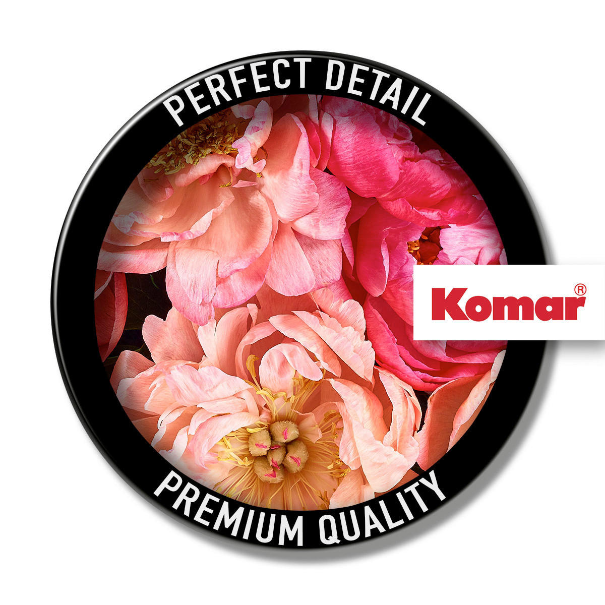 Komar Fototapete Roseraie D: ca. 125 cm Roseraie - (125,00cm) - Komar