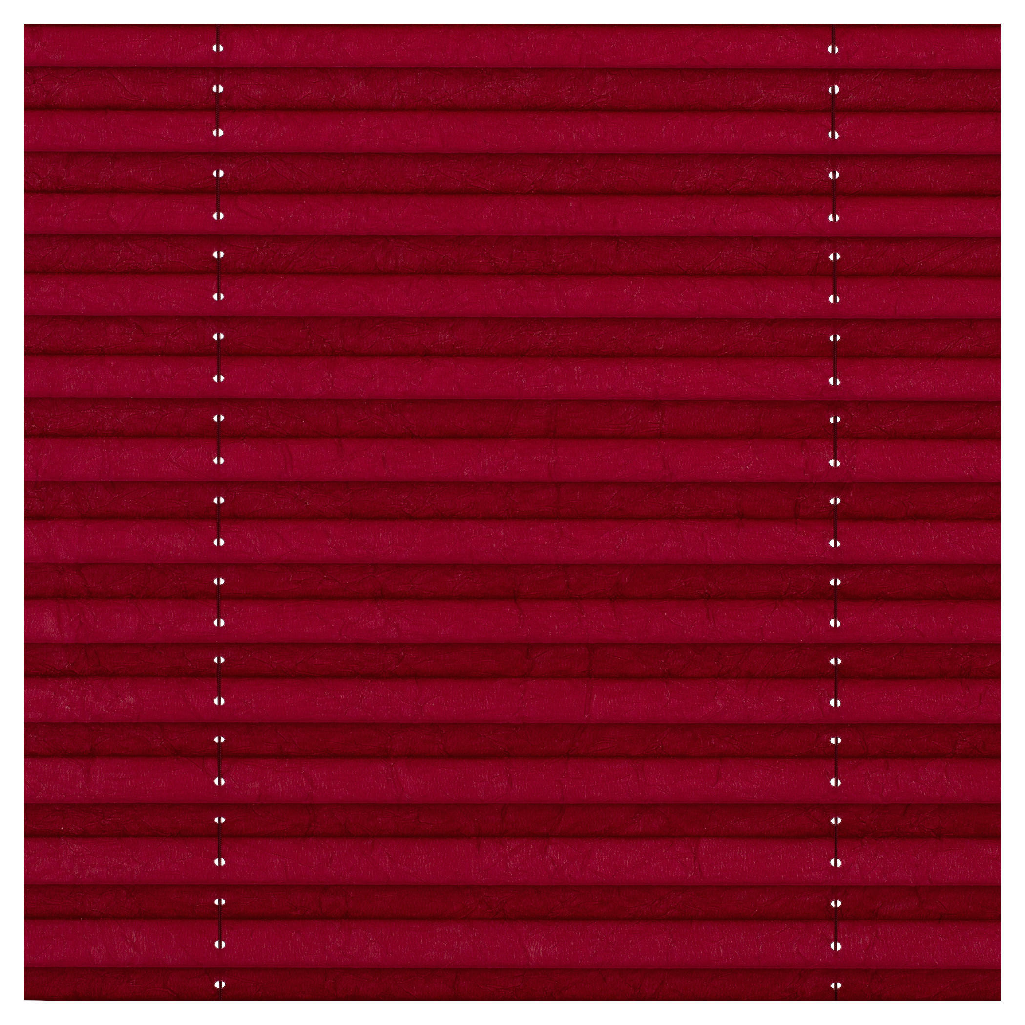 LICHTBLICK Spannplissee brombeer B/L: ca. 50x130 cm Plissee_Klemmfix - brombeer (50,00/130,00cm) - LICHTBLICK