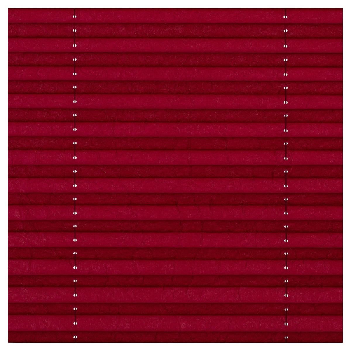 Spannplissee brombeer B/L: ca. 50x130 cm Plissee_Klemmfix - brombeer (50,00/130,00cm) - LICHTBLICK