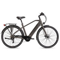 Hollandia Alu E-Cityrad Mantova Mantova 28'' 28 Zoll Rahmenhöhe 52 cm 7 Gänge grau grau ca. 250 W ca. 36 V ca. 28 Zoll Mantova - grau - Hollandia
