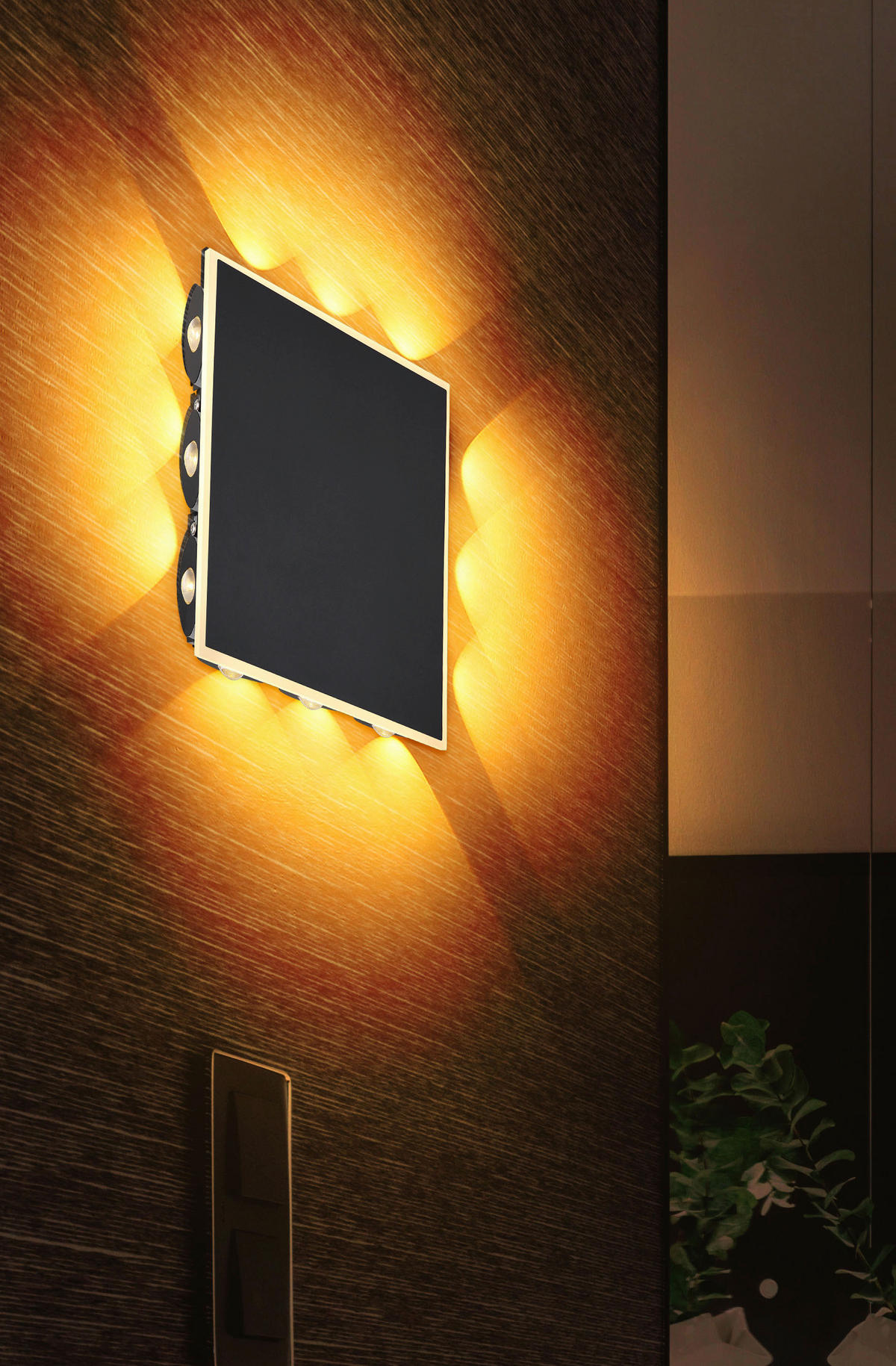 Wandleuchte Saidy 78408-12 B/H: ca. 22x22 cm LED-Wandleuchte_Saidy - (22,00/22,00cm)