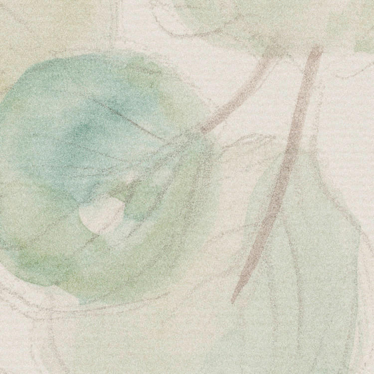 Komar Fototapete Douche de Feuilles B/L: ca. 300x250 cm Douche de Feuilles - (300,00/250,00cm) - Komar