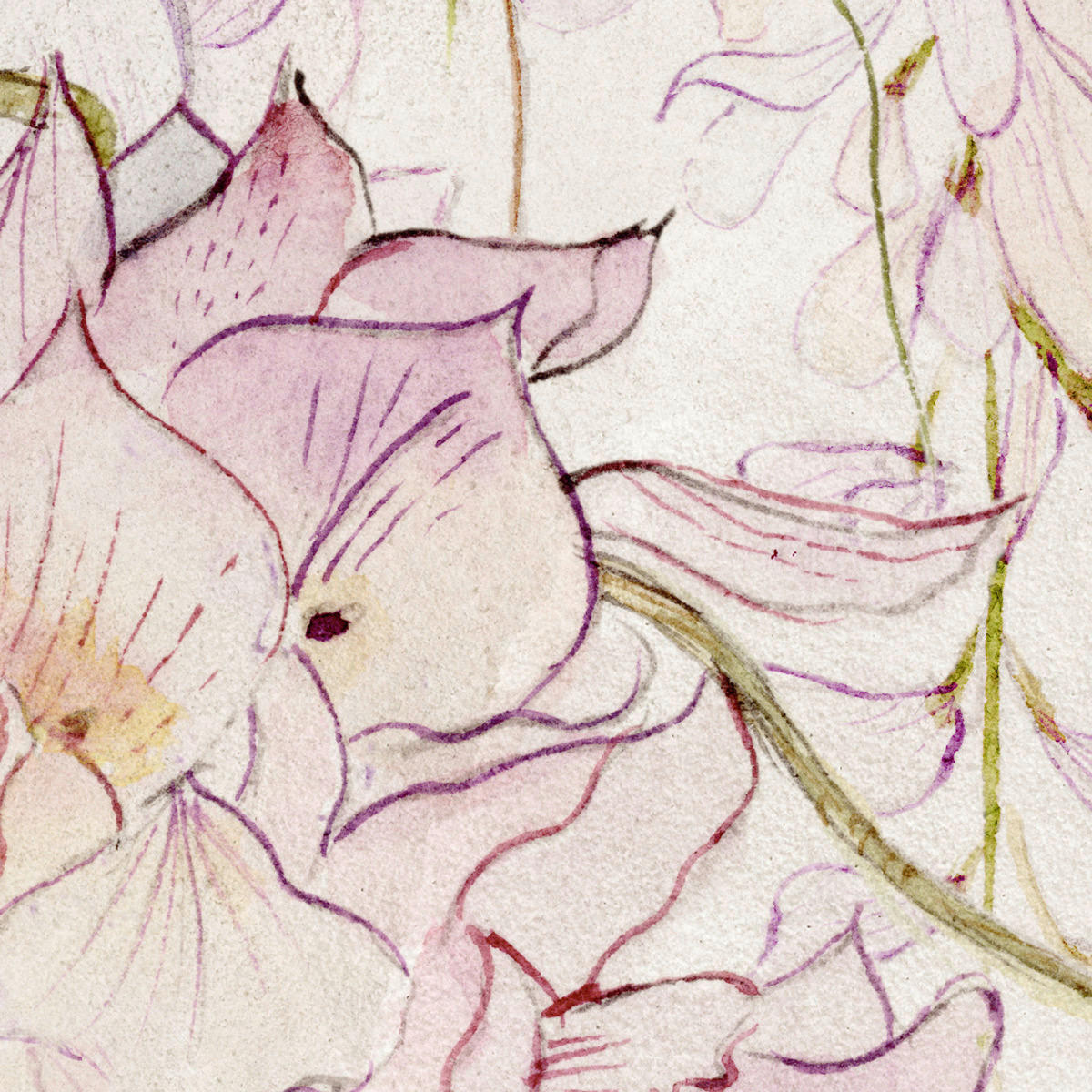 Komar Fototapete Wisteria B/L: ca. 400x280 cm Wisteria - (400,00/280,00cm) - Komar