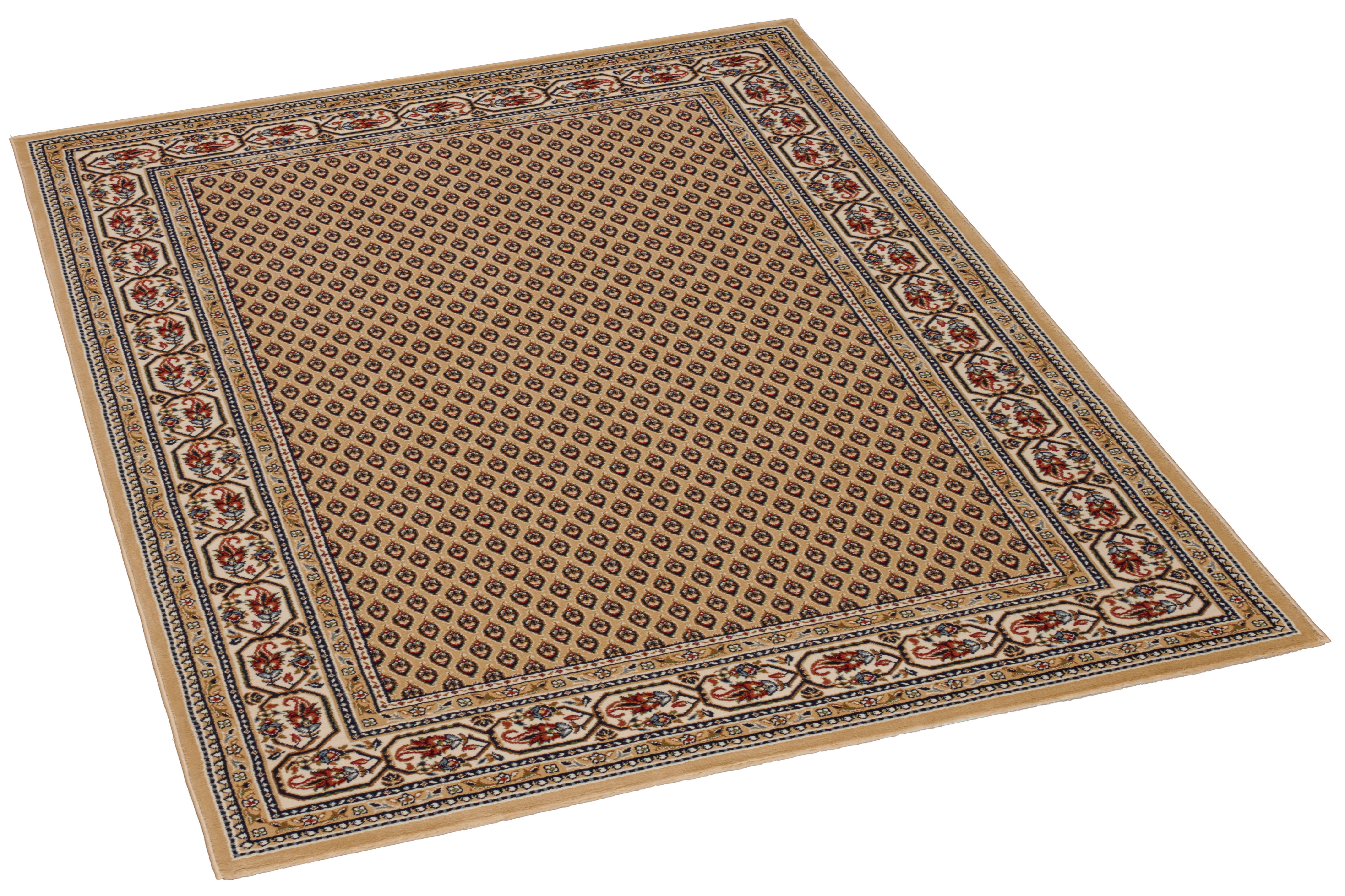 Merinos Teppich kaufen beige 160x230 cm bei online ca. POCO B/L: Kashmir ▷
