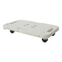 Dolly Transportroller grau B/H/L: ca. 29x12,5x48 cm Transportroller_mit_Rädern - grau (48,00/29,00/12,50cm) - Dolly