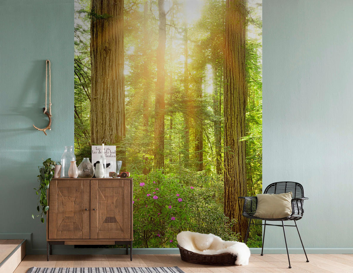 Komar Fototapete Redwood Wald B/L: ca. 200x260 cm Redwood - (200,00/260,00cm) - Komar
