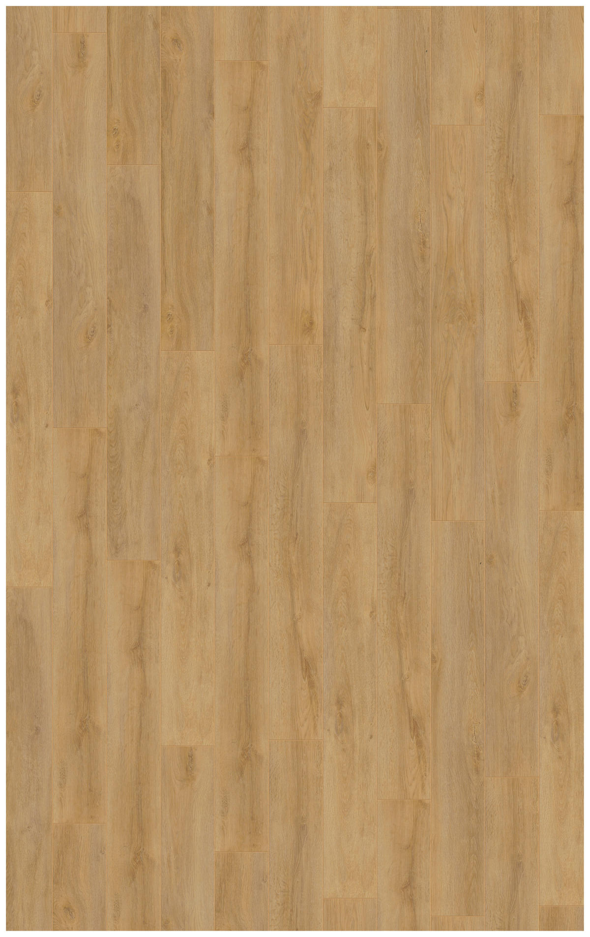 Kronotex Laminatboden Robusto ca.1,293m² im Paket  B/L: ca. 18,8x137,5 cm pro Paket Robusto ca.1,293m² im Paket - natur (18,80/137,50cm) - Kronotex
