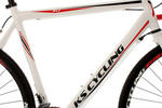 KS-Cycling Rennrad Euphoria 28 Zoll Rahmenhöhe 58 cm 14 Gänge weiß weiß ca. 28 Zoll Rennrad Euphoria 331B - weiß/rot