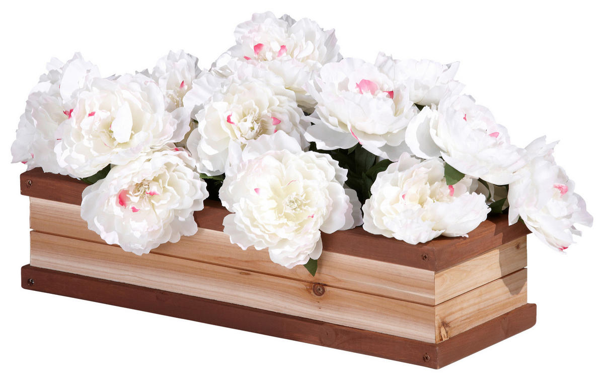 AXI Blumenkasten braun Holz B/H/L: ca. 19x12x54 cm Blumenkasten - braun/natur (54,00/19,00/12,00cm) - AXI