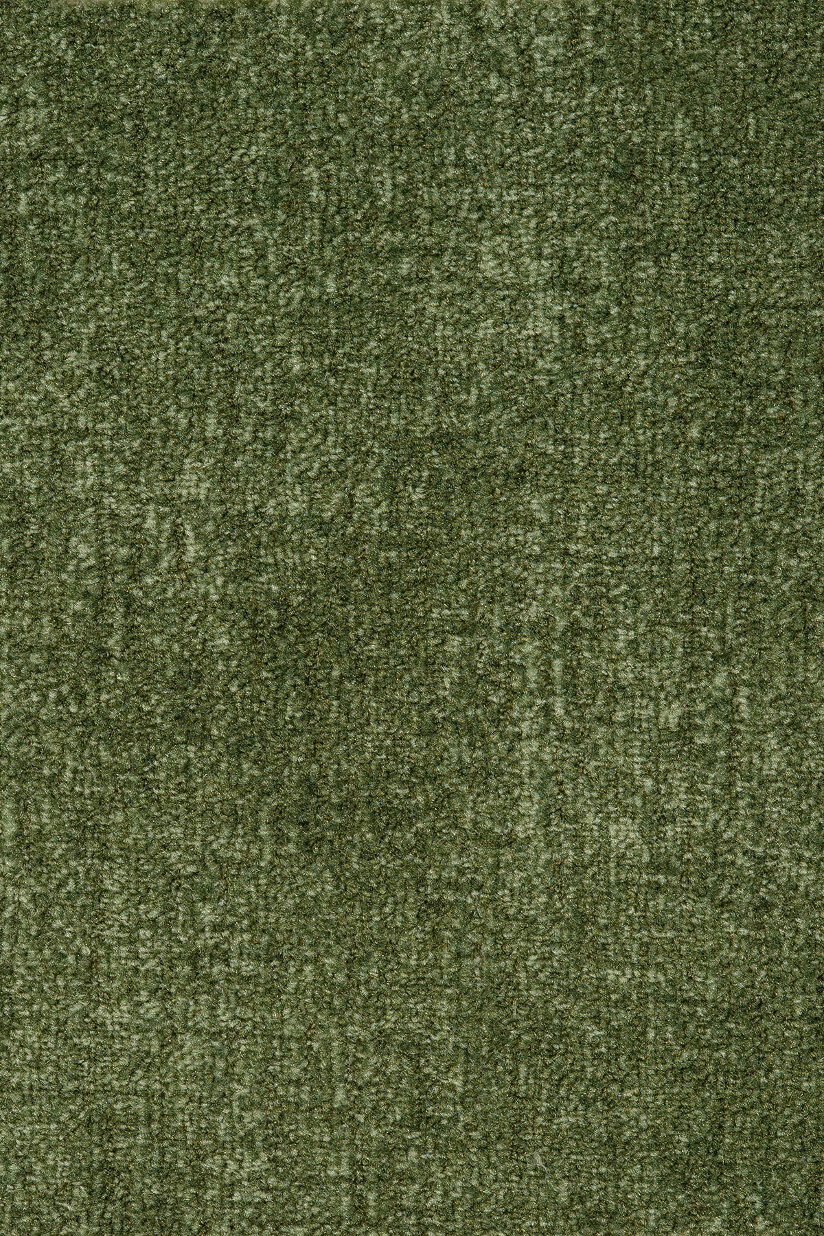 Teppichboden Bergamo grün B: ca. 400 cm pro m² Bergamo - grün (400,00cm)