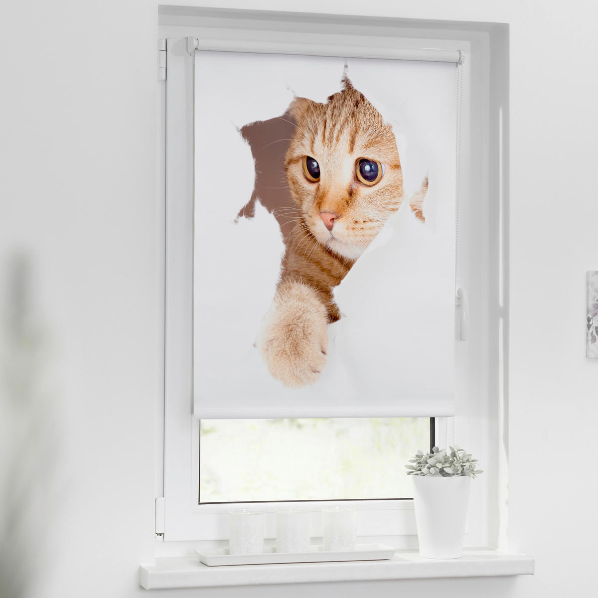 Verdunkelungsrollo Katze weiß B/L: ca. 70x150 cm ▷ online bei