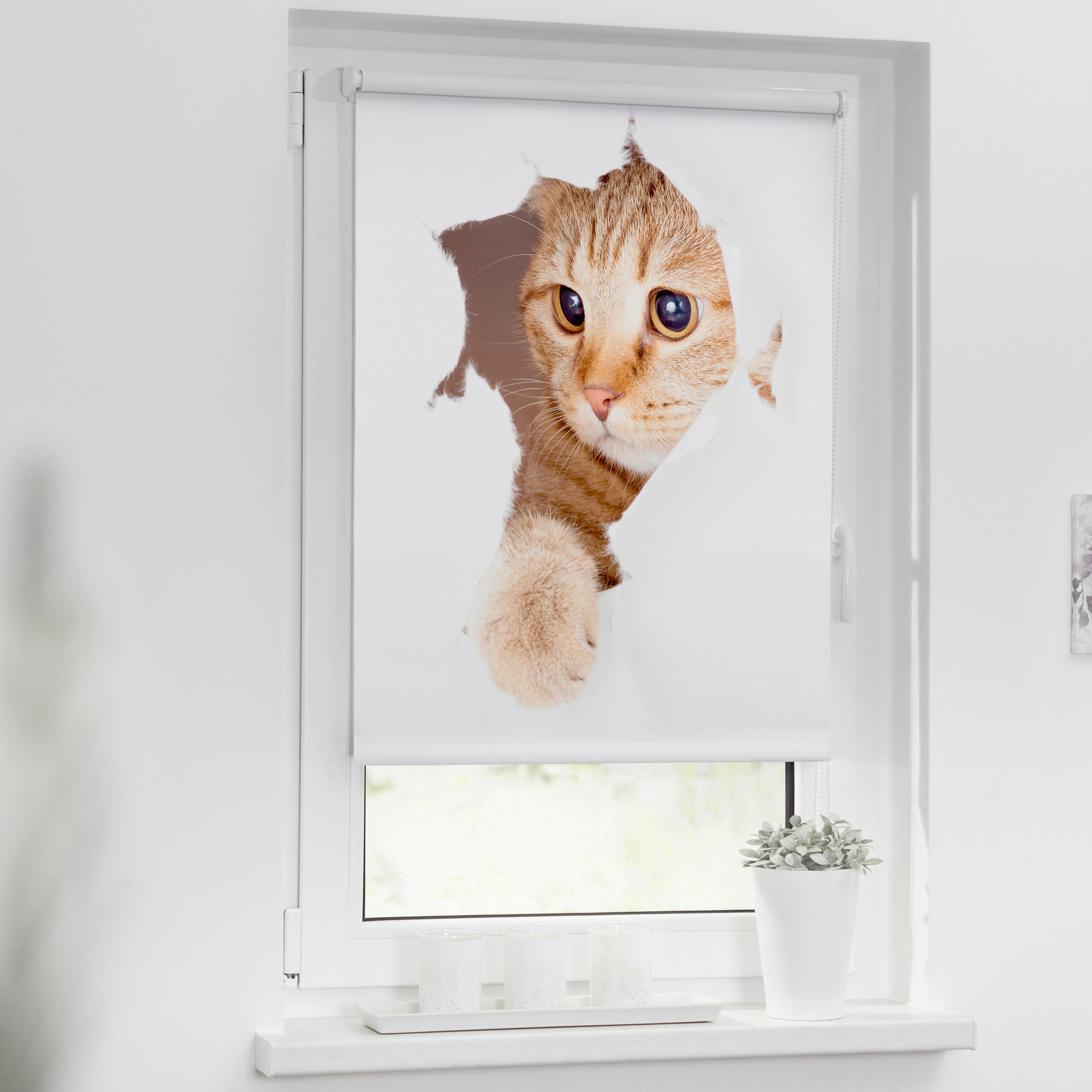 Verdunkelungsrollo Katze weiß B/L: ca. 60x150 cm günstig online kaufen