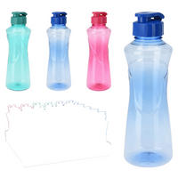Trinkflasche sortiert Sportflasche - sortiert