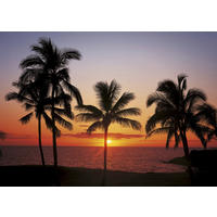 Komar Fototapete Hawaii B/L: ca. 368x254 cm Hawaii - (368,00/254,00cm) - Komar