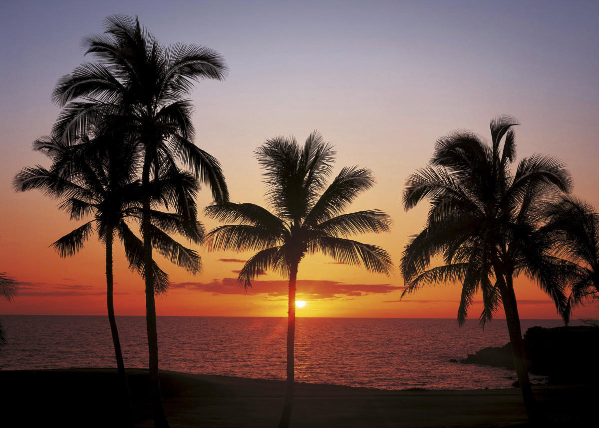 Komar Fototapete Hawaii B/L: ca. 368x254 cm Hawaii - (368,00/254,00cm) - Komar