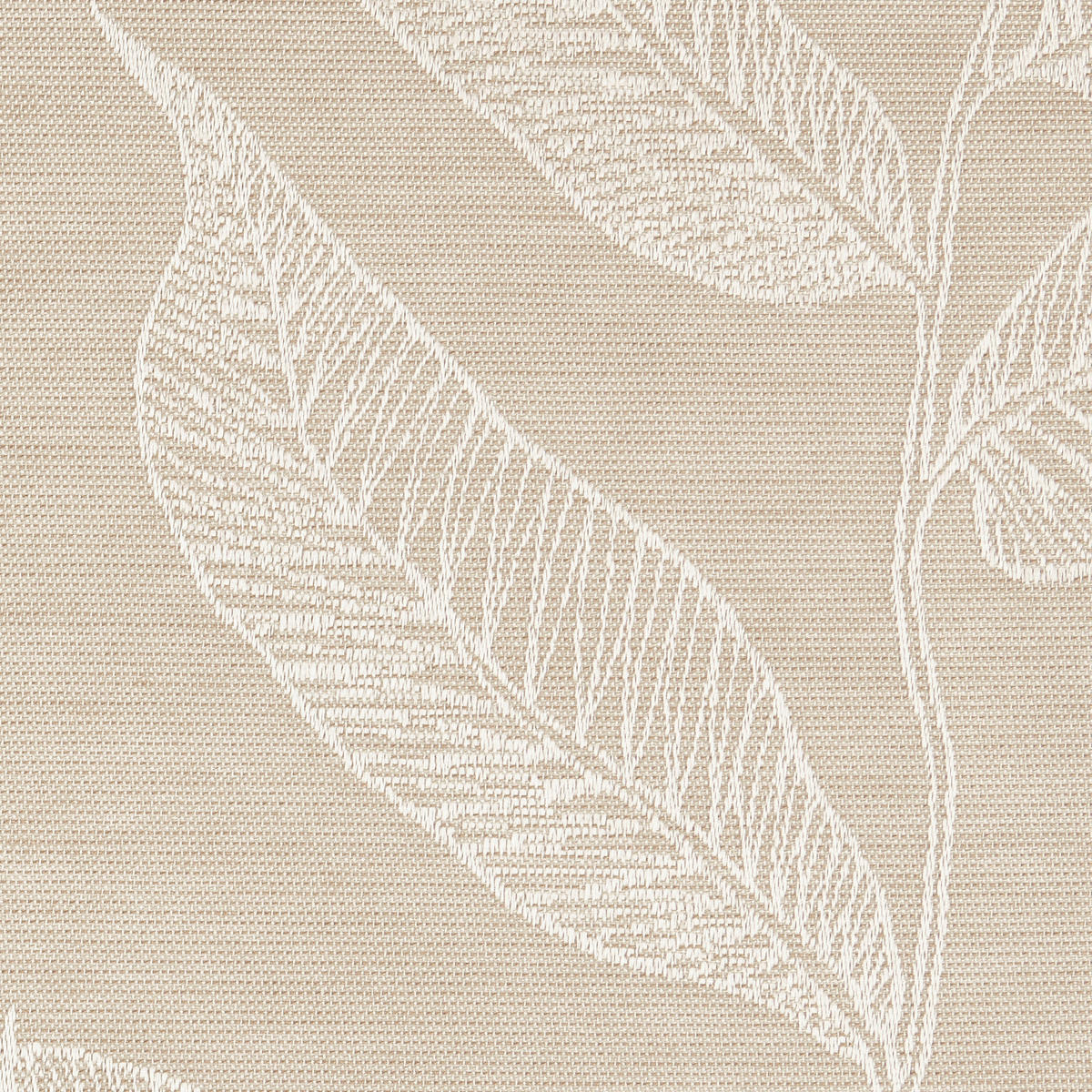 Dekostoff Darjeeling beige B: ca. 140 cm Darjeeling - beige (140,00cm)