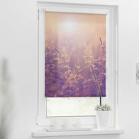 Verdunkelungsrollo Sommerabend orange B/L: ca. 90x150 cm Sommerabend - orange (90,00/150,00cm) - LICHTBLICK