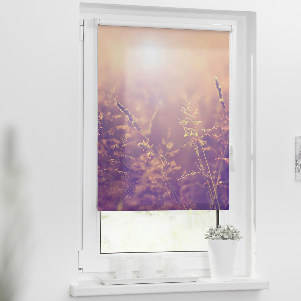 Verdunkelungsrollo Sommerabend orange B/L: ca. 90x150 cm Sommerabend - orange (90,00/150,00cm) - LICHTBLICK