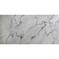 Decopa Wandpaneel weiß B/L/S: ca. 60x120x0,3 cm Wandpaneel_Tokio - weiß (60,00/120,00cm) - Decopa