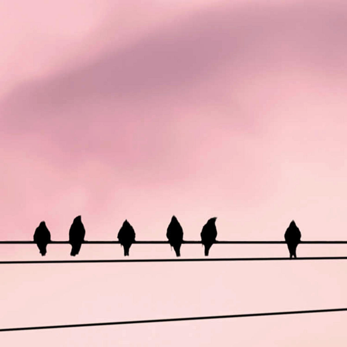 Komar Fototapete Cloud Wire B/L: ca. 400x250 cm Cloud Wire - (400,00/250,00cm) - Komar