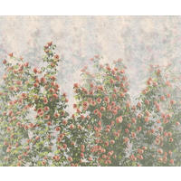 Komar Fototapete Wall Roses B/L: ca. 300x250 cm Wall Roses - (300,00/250,00cm) - Komar