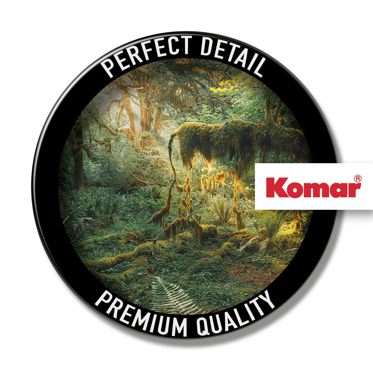 Komar Fototapete Hall of Mosses B/L: ca. 400x250 cm Hall of Mosses - (400,00/250,00cm) - Komar