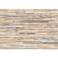 Fototapete Whitewashed Wood B/L: ca. 368x254 cm Fototapete_Whitewashed_Wood - (368,00/254,00cm)