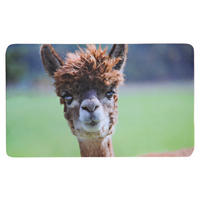 Schneidbrett Frühstücksbrettchen_Alpaka - grün (23,50/14,00/0,40cm)