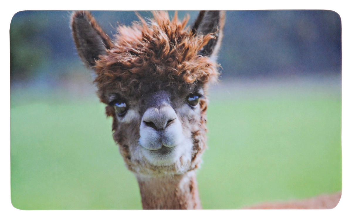 Schneidbrett Frühstücksbrettchen_Alpaka - grün (23,50/14,00/0,40cm)