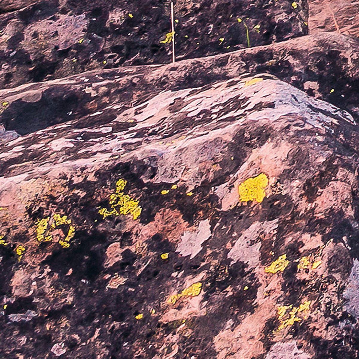 Komar Fototapete Kingdom of a Mountain B/L: ca. 400x250 cm Kingdom of a Mountain - (400,00/250,00cm) - Komar